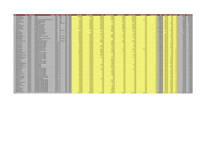 automate and clean your excel data professionally